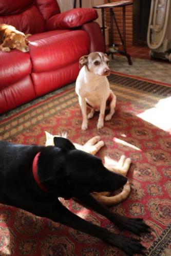 10:04:03 GMT-0600 (CST).image