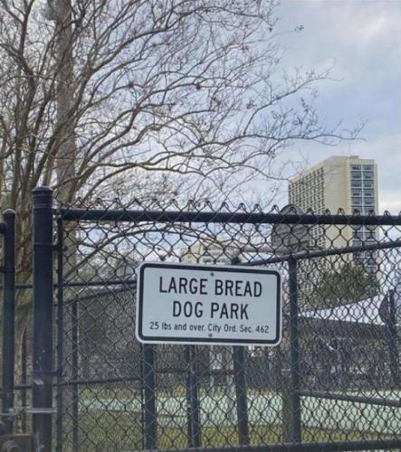large breed