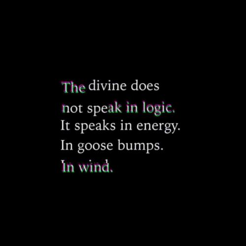 10:51:31 GMT-0500 (EST)