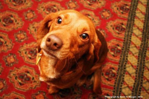 19:25:06 GMT-0600 (CST).image