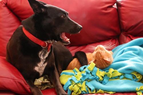 10:02:37 GMT-0600 (CST).image