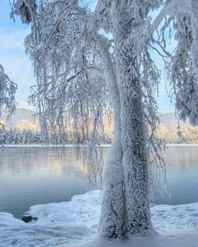 tumblr_abb791582c3c120e4e7e07c7a0cfc8f3_8b2b4e76_540