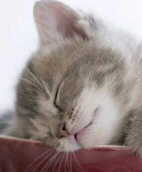 03:24:05 GMT-0600 (CST)