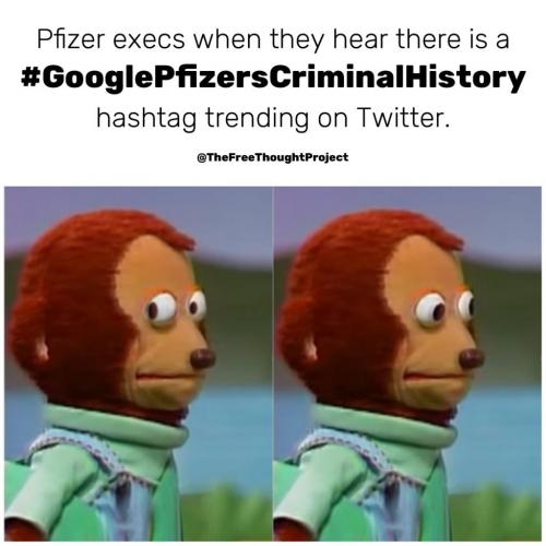 135186146_2459285331045333_3176727491995112586_o