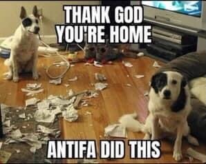 10:05:22 GMT-0600 (CST).image