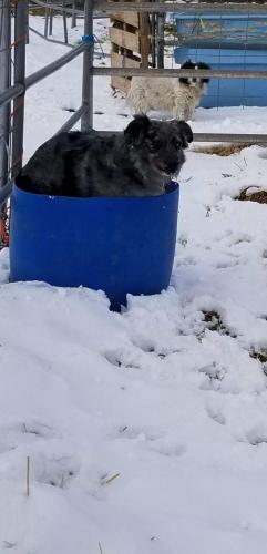 07:56:24 GMT-0800 (PST).image