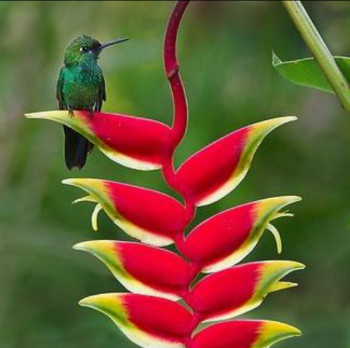 20:18:13 GMT+0100 (WAT).png