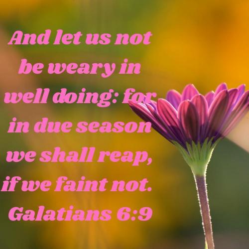 04:44:46 GMT-0600 (CST)