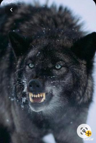 16:54:57 GMT-0700 (MST)