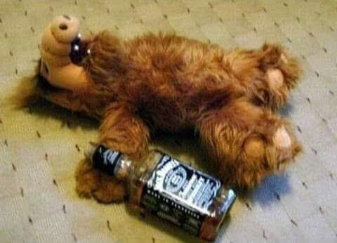 FB_IMG_1563495207933~2