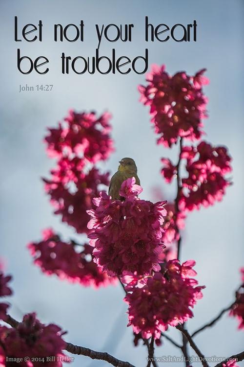 09:36:31 GMT-0800 (PST).image