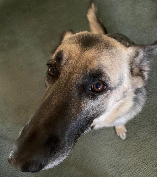 13:21:17 GMT-0700 (MST).image