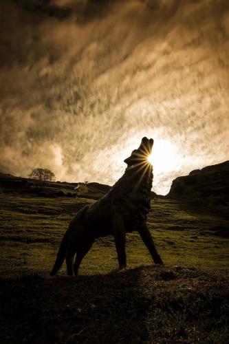 19:14:09 GMT-0600 (CST)