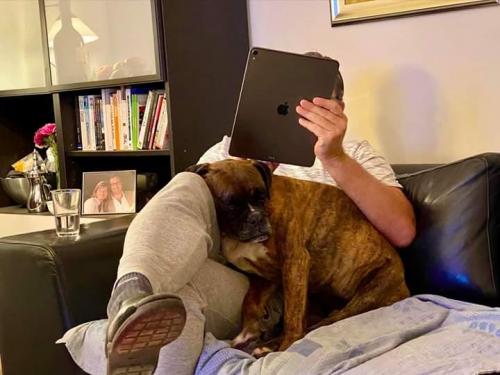 07:31:05 GMT+0100 (WAT)