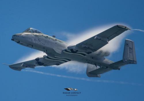 134714416_1310320645990235_4933867882096722_o