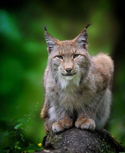 142133100_1783584011807803_2999519634565699063_o