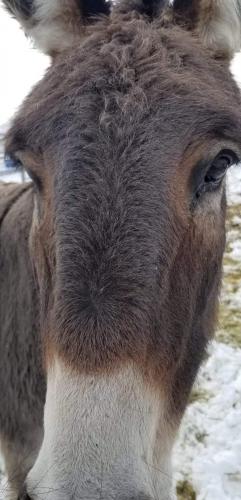 07:56:24 GMT-0800 (PST).image