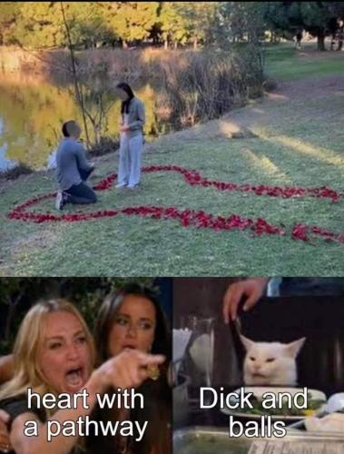 15:51:13 GMT-0600 (CST)