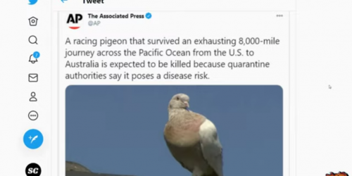 10:10:51 GMT-0600 (CST)