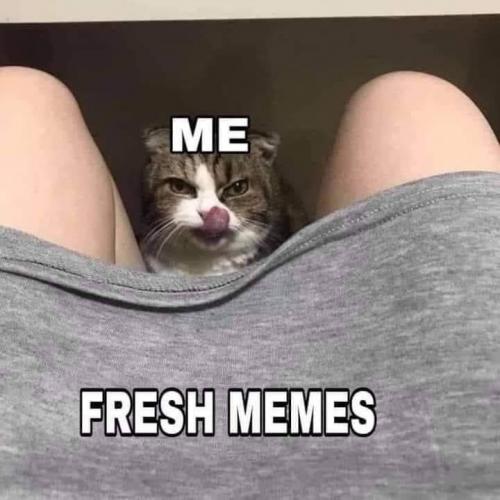 12:38:57 GMT-0600 (CST)