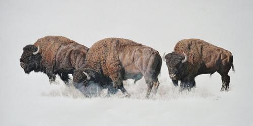 136398166_10218700192680566_9123378353881128237_o