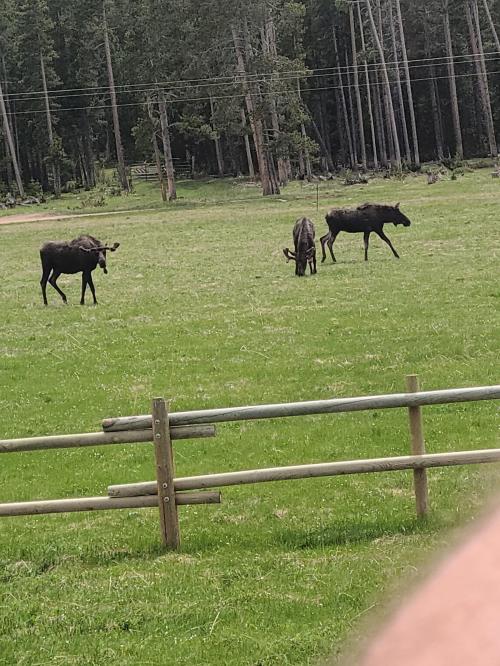 19:08:35 GMT-0700 (MST)