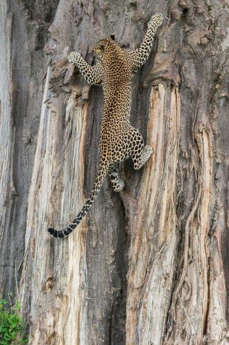 136455194_1488480604684618_5151549353538173972_o