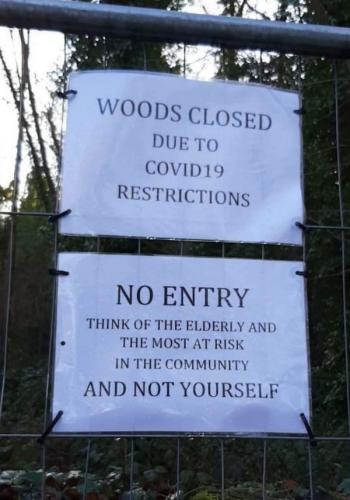 Woods_Closed