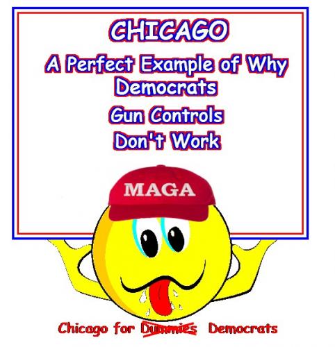 Chicago for Dummies