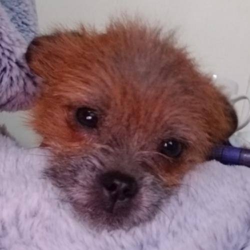 08:38:32 GMT-0500 (EST)