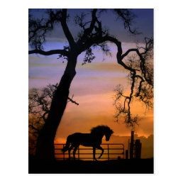 09:16:35 GMT-0600 (CST)