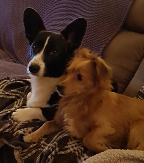 08:28:49 GMT+0100 (CET)