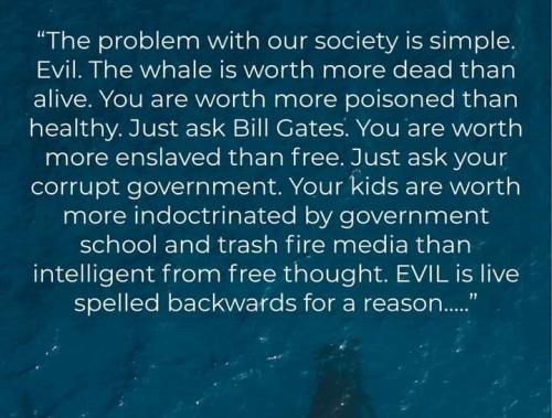 19:51:33 GMT-0700 (MST)