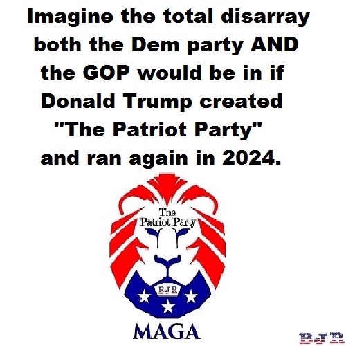 1 Maga patriot party dem gop