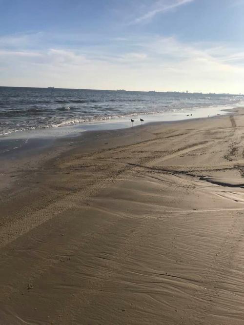 78628261_609025693171911_778815074142781440_n