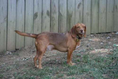 19:04:40 GMT-0600 (CST).image