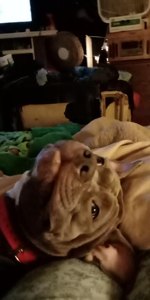 18:57:48 GMT-0600 (CST)