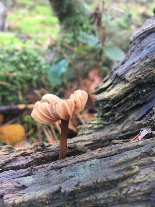 9B17A56B-E360-4B73-A5E3-4BA51072DF13