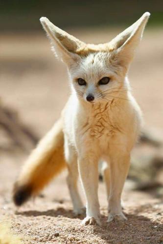 07:20:06 GMT-0600 (CST)