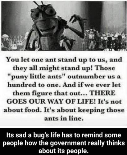 06:42:46 GMT-0600 (CST)