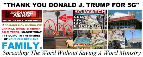 140513930_229381662188162_6036279090887494145_n