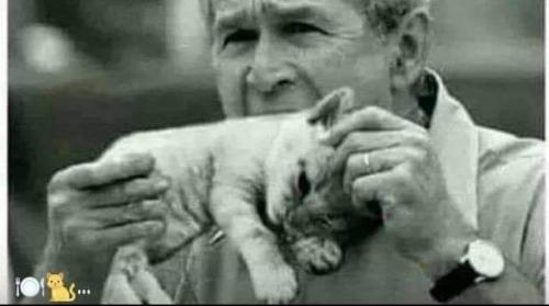 03:49:25 GMT-0600 (CST)