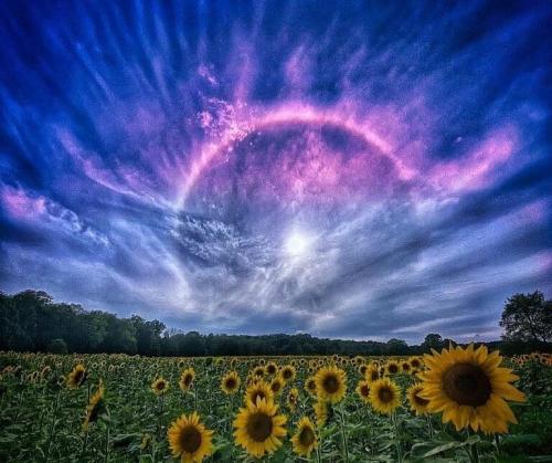 CC740043-2644-48FA-8AF1-D8F7E5755B37