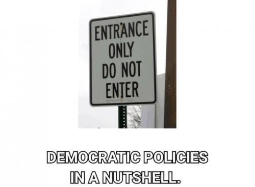 democrats394