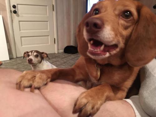 19:00:46 GMT-0600 (CST).image