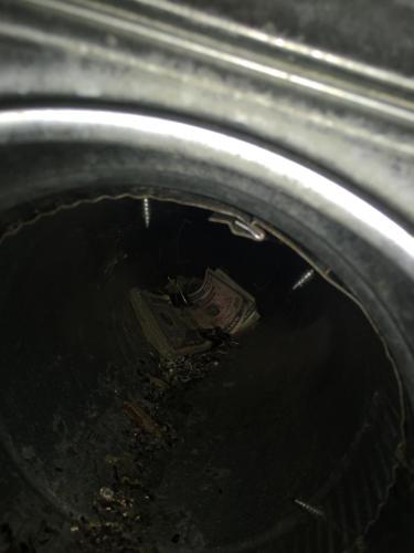 B81E10C4-2694-4B23-85AE-84A1F6C44C45-17863-00000C2569E3C5BD