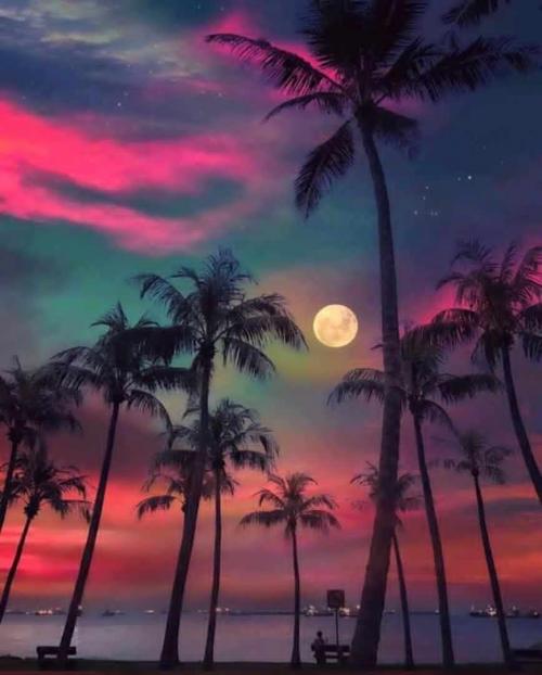 02:06:39 GMT+0100 (WAT).image