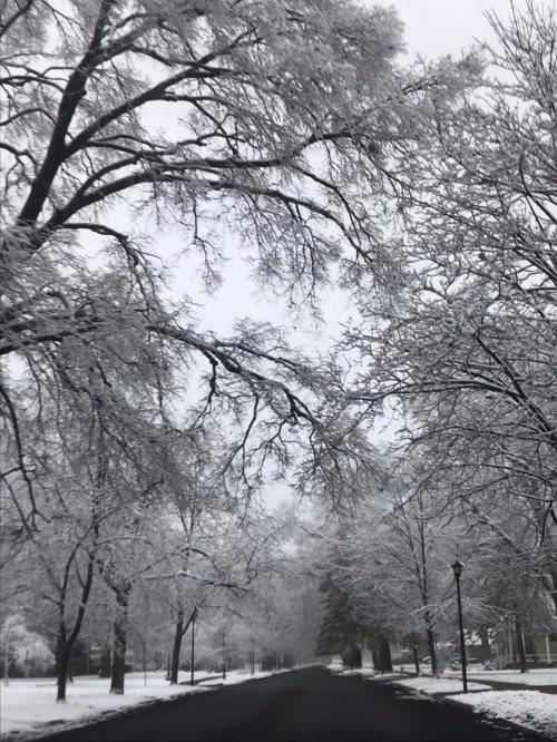 14:13:44 GMT-0600 (CST).image