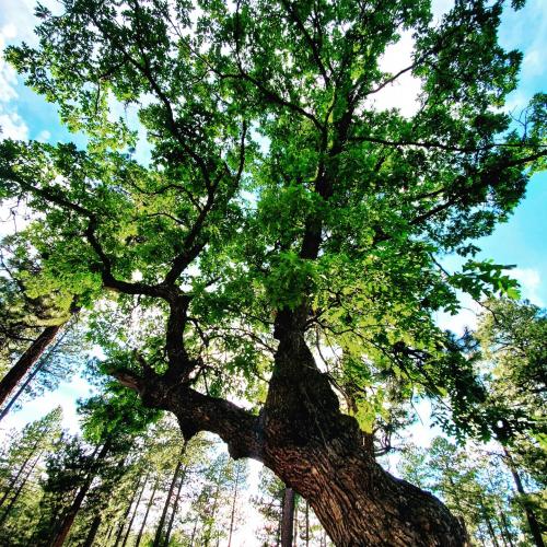 11:34:02 GMT-0700 (MST)