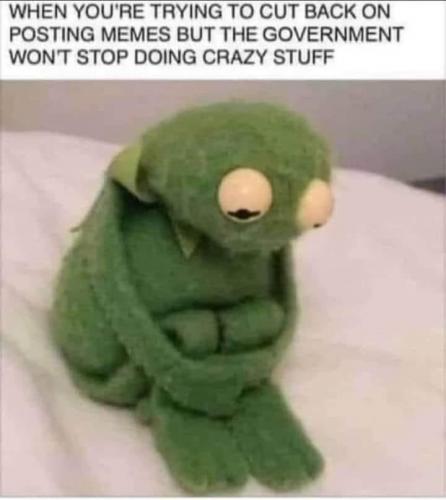 136929894_443928510118464_851330510666705039_n